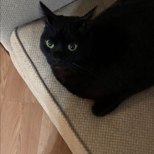 Meet your Posher, Tony